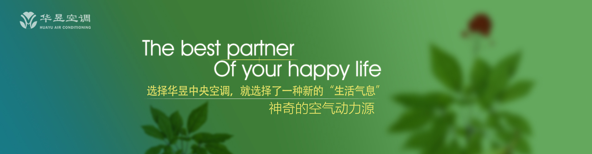 飞扬跋扈网
